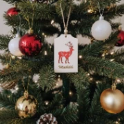 Porte-Carte Cadeau de Noël Personnalisé en Bois – Ornement de Sapin avec Prénom – Motif Renne
