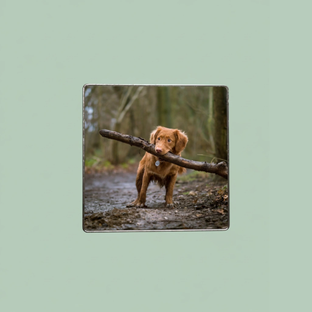 Magnet Personnalisable avec Photo