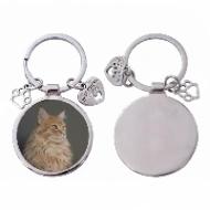 Porte-clés Personnalisé Chien Photo "Best Friend" Médaillon Argenté