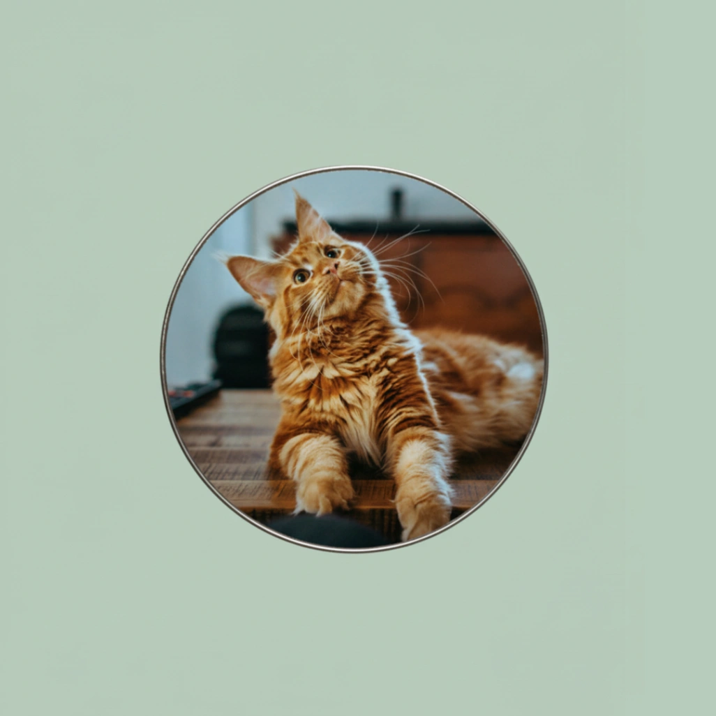 Magnet Personnalisable avec Photo