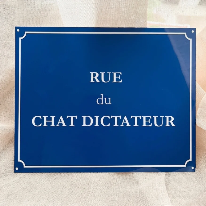 Plaque de Rue Française Personnalisée en Aluminium | Cadeau Original et Drôle