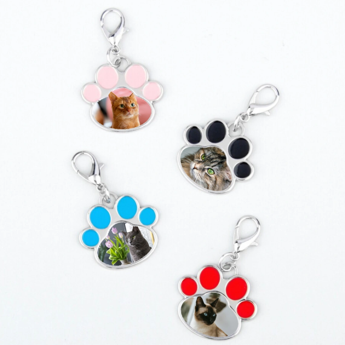 Porte-clés "Patte d'Amour" Personnalisable avec Photo – Le Souvenir Unique de Votre Animal